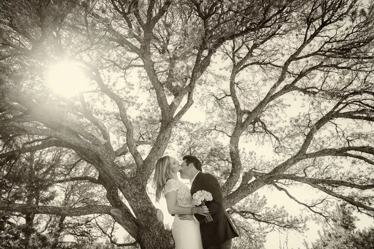2 Birds Studio, Robin Parrott Photography | Foto: 2 Birds Studio, Robin Parrott Photography — foto 2