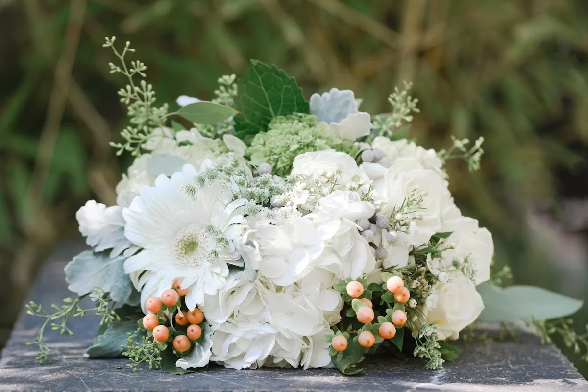 Caitlin Elizabeth Photography LLC | Foto: Caitlin Elizabeth Photography LLC — foto 3