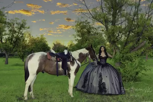 The Photo Element Photographers and Video — Fotógrafos de Bodas en Santa Teresa, NM