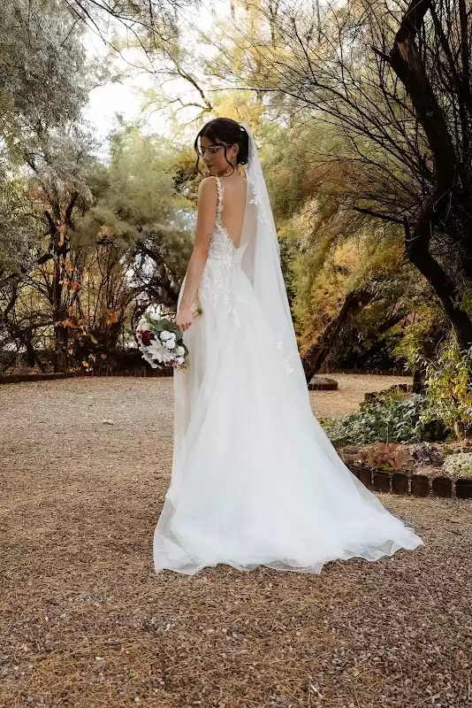 Aeroprey | Foto: Emily Bean