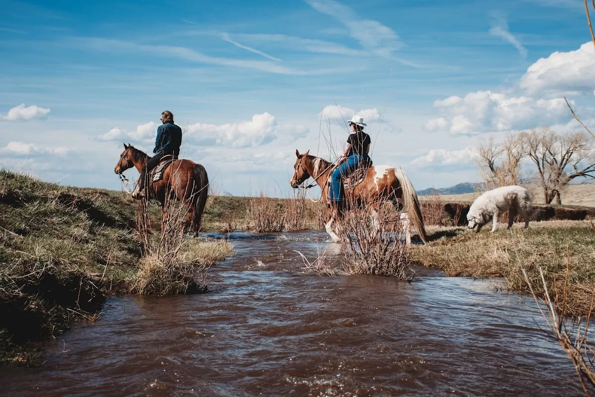 Muddy Wellies Photography | Foto: Muddy Wellies Photography — foto 2