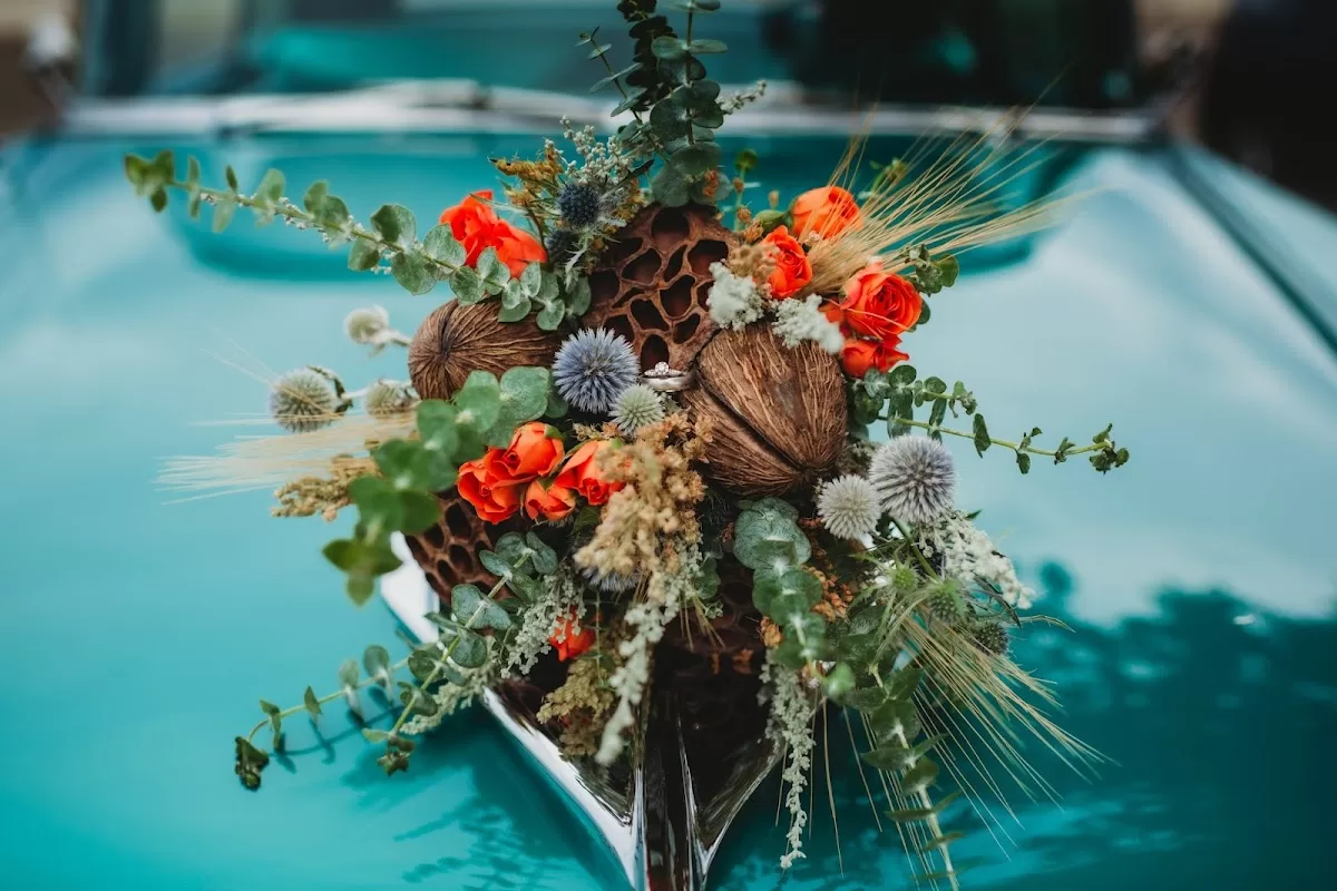 Nicole Bridges Photography, LLC | Foto: Rin Fujimatsu — foto 2