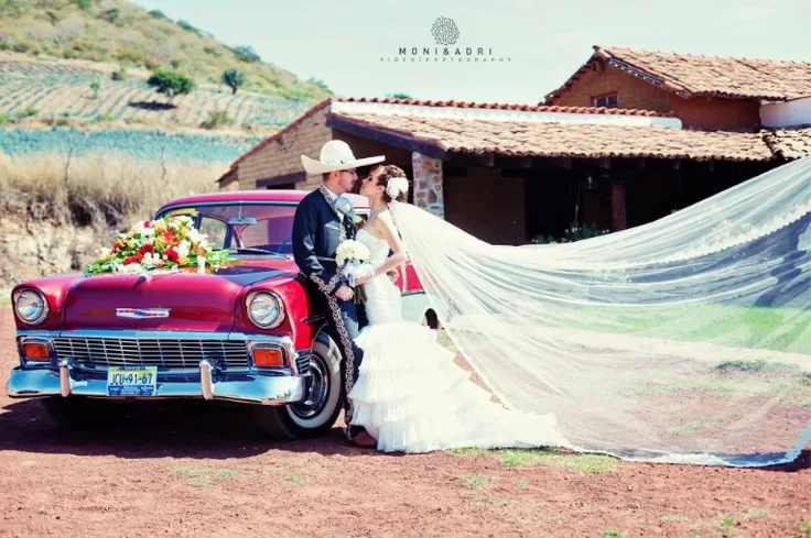 Life's Moments Weddings, Ceremonies and Celebrations | Foto: Life's Moments Weddings, Ceremonies and Celebrations — foto 3