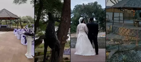 Rancho Los Alamos — Lugares para Bodas en Waterflow, NM