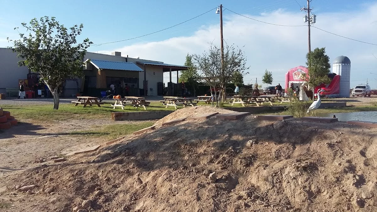 Balzano Vineyard & Winery - Pumpkin Patch | Foto: Ray Derickson — foto 4