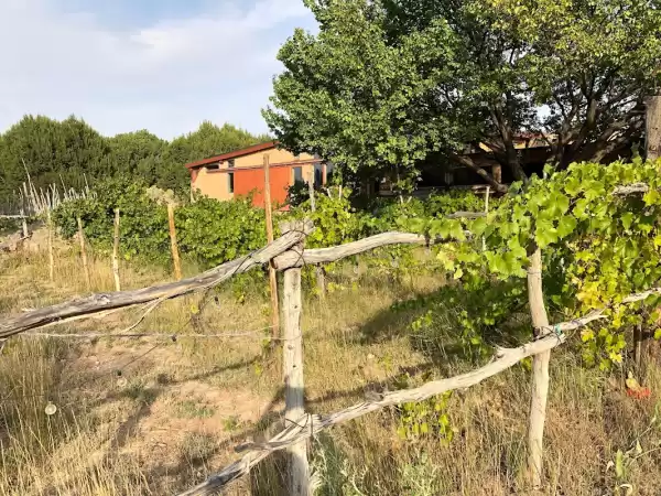 PLACITAS WINERY - Lugares para Bodas en Placitas | Foto: PLACITAS WINERY