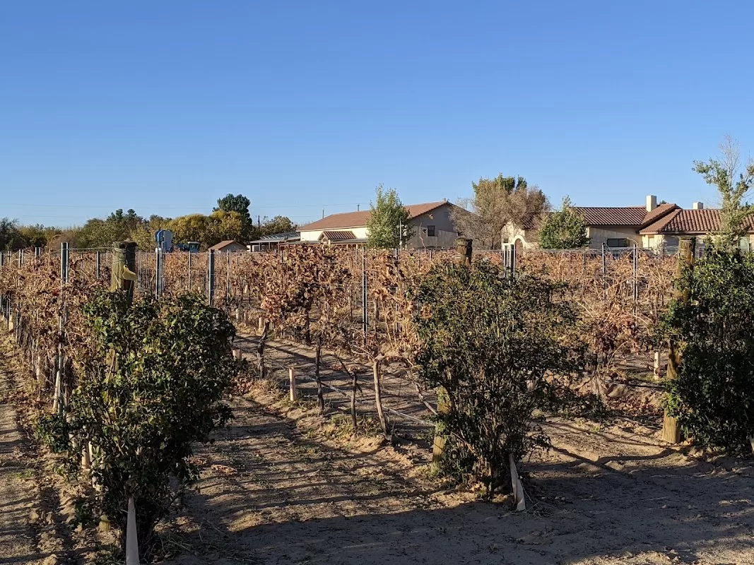 Rio Grande Winery - Lugares para Bodas en Las Cruces | Foto: Joe Smith — foto 5