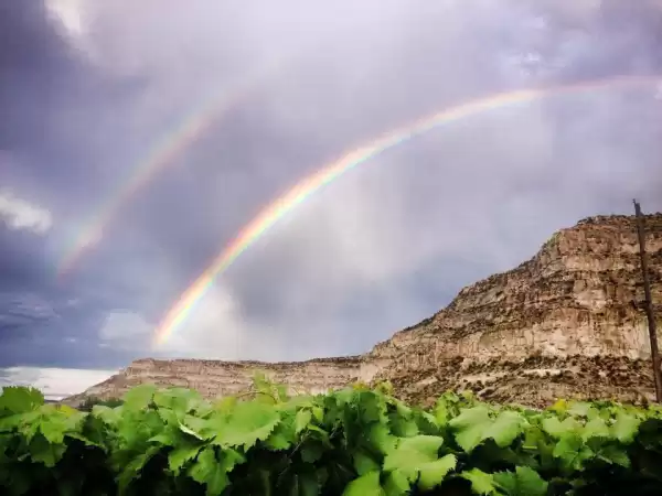 Wines of the San Juan - Lugares para Bodas en Blanco | Foto: Wines of the San Juan