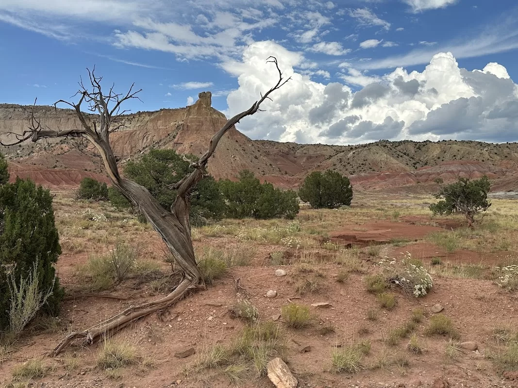 Ghost Ranch Education & Retreat Center | Foto: Jody Reid — foto 5